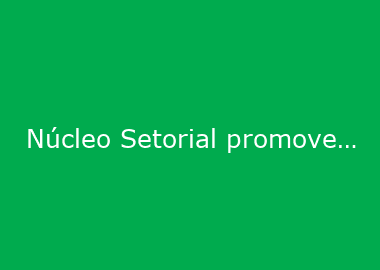 Núcleo Setorial promove debate sobre os desafios do setor metal mecânico